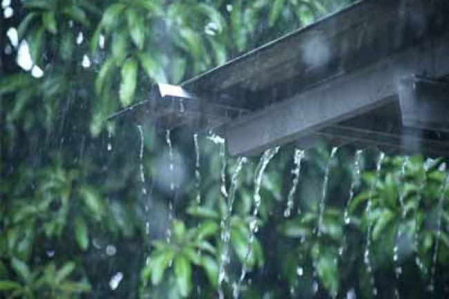 Sebagian Wilayah di Riau Berpotensi Diguyur Hujan