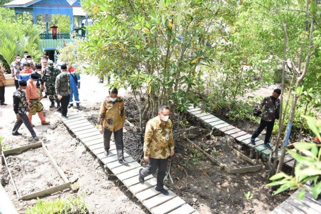 Plt. Asisten I Bengkalis Dampingi Irsan Tinjau Mangrove di Pangkalan Jambi