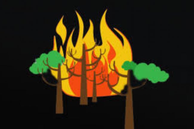 Hari Ini Sebanyak 73 Titik Panas Tersebar di Riau