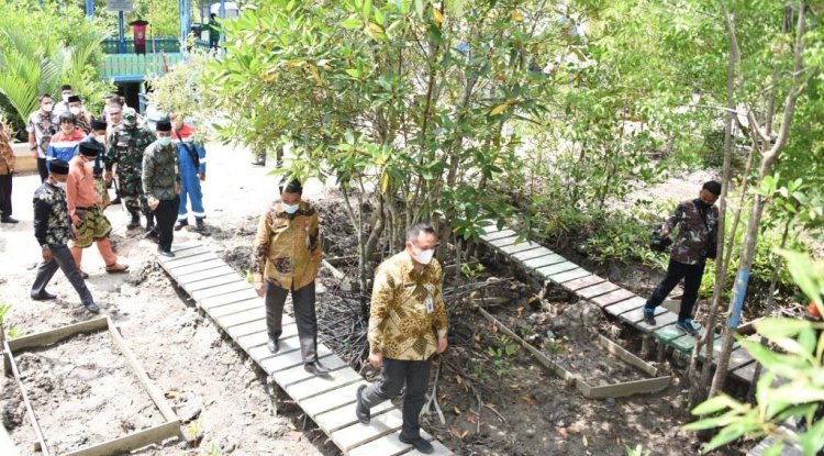 Plt. Asisten I Bengkalis Dampingi Irsan Tinjau Mangrove di Pangkalan Jambi