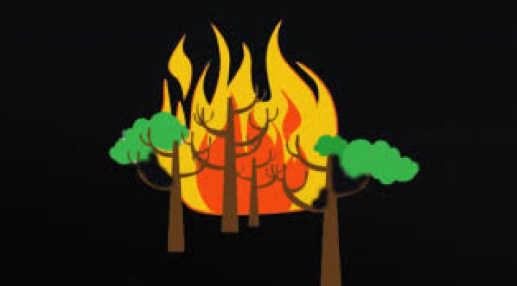 BMKG Sebut 20 Hotspot Terpantau di Wilayah Riau