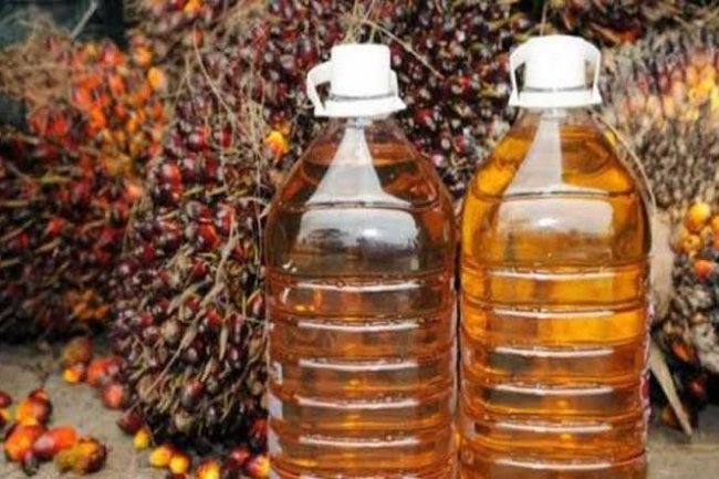 Melesatnya CPO Malaysia Berikan Dampak Positif Untuk Riau