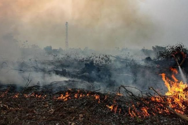 DPR RI Akan Awasi 8 Isu Berikut, Termasuk Karhutla di Riau