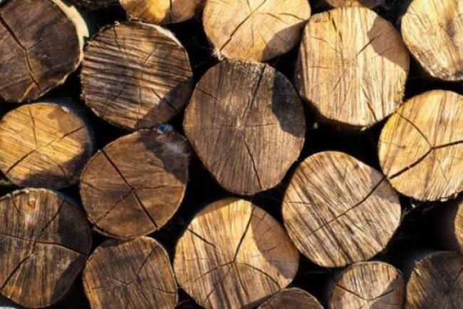 Warga Minta Polda Riau Telusuri 10 Somel di Kampar Kiri