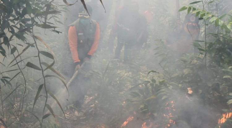 Hingga Awal Maret 2021, 120 Hektar Lahan di Bengkalis Terbakar