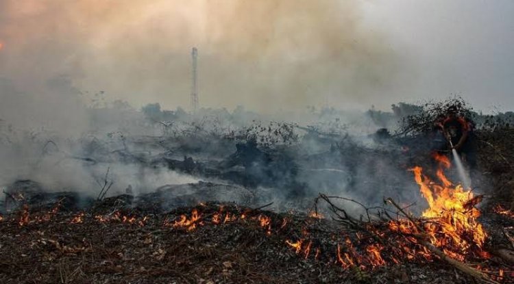 DPR RI Akan Awasi 8 Isu Berikut, Termasuk Karhutla di Riau