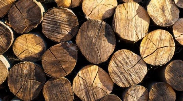 Warga Minta Polda Riau Telusuri 10 Somel di Kampar Kiri