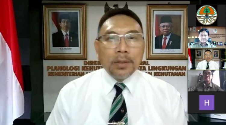 Penghentian Pemberian Izin Hutan Alam Primer dan Lahan Gambut Capai 66,18 Juta Hektar