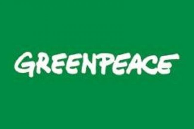 Greenpeace Angkat Bicara terkait Anak Sungai Lubuk Godang Ditutup PT Inti Indosawit Subur