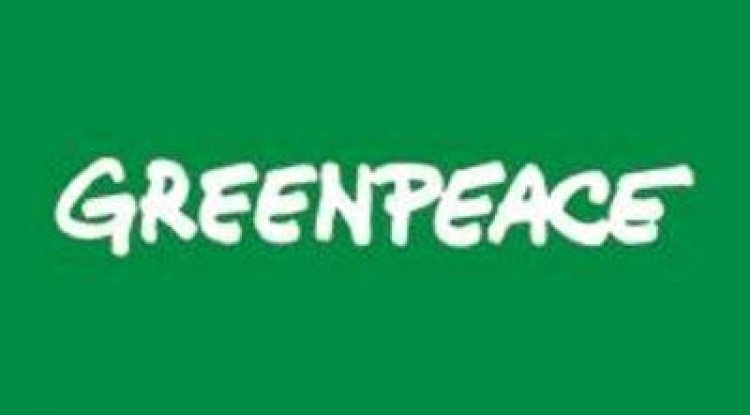 Greenpeace Angkat Bicara terkait Anak Sungai Lubuk Godang Ditutup PT Inti Indosawit Subur