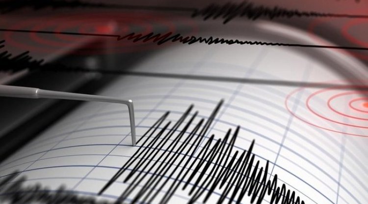 Gempa Merkekuatan Magnitudo 6,4 Mengguncang India