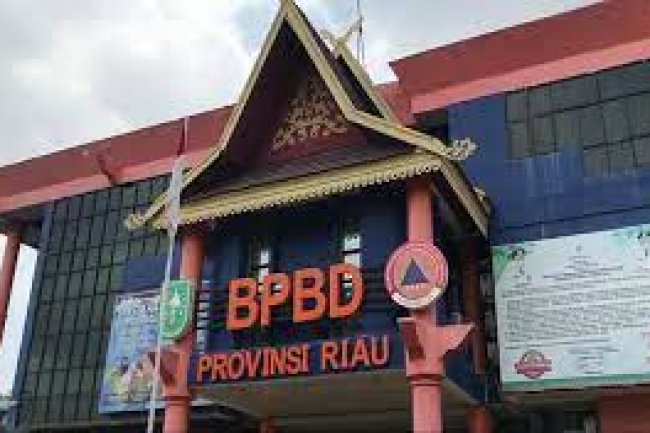 Cegah Karhutla, BPBD Riau Minta Kabupaten Kota Gencar Lakukan Patroli