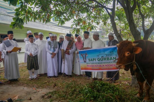 Tahun Ini Pemprov Riau Kembali Dapatkan Bantuan Sapi  Dari Presiden