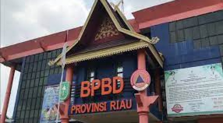 Cegah Karhutla, BPBD Riau Minta Kabupaten Kota Gencar Lakukan Patroli