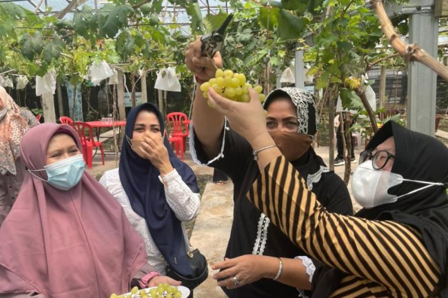 Hj Misnarni Ajak Warga Manfaatkan Pekarangan dengan Tanaman Bermanfaat