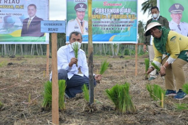 Escavator selama ini menjadi penghambat petani di Desa Bina Maju, Gubernur Riau Syamsuar Wujudkan Harapan Petani Rangsang Barat