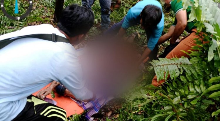  Diduga Diserang Harimau, warga di Riau Tewas Mengenaskan