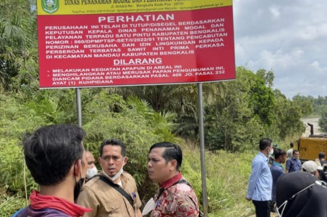 Persoalan PT SIPP, Pemkab Bengkalis Buka Suara Beberkan Sejumlah Fakta