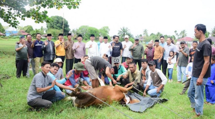 Inspektorat Daerah Kabupaten Bengkalis Kurban 4 Ekor Lembu dan 1 Ekor Kambing