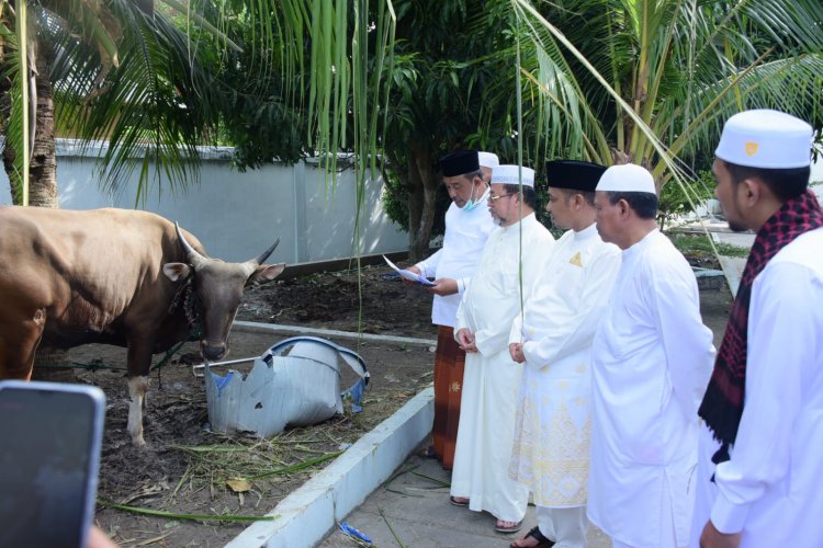 Pemkab Bengkalis Serahkan Hewan Kurban Di Masjid Agung Istiqomah Dan Masjid Mujahidin Desa Pedekik