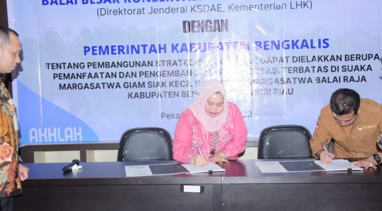 Bupati Kasmarni Tandatangani Kerjasama Dengan Kepala BKSDA Riau