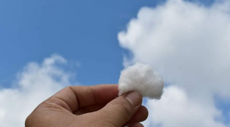 Prakiraan Cuaca dan Hotspot di Provinsi Riau, Jumat 30 Juni 2023