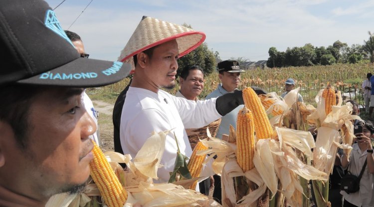 GEBRAKAN WALIKOTA PEKANBARU: MULAI DARI PENURUNAN PARKIR, PERSAMPAHAN, INFRASTRUKTUR DAN SOSIAL KEMASYARAKATAN