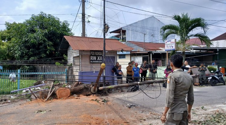 Pemko Pekanbaru Tegur Operator Telekomunikasi Usai Tiang Fiber Optik Tumbang di Jalan Rindang