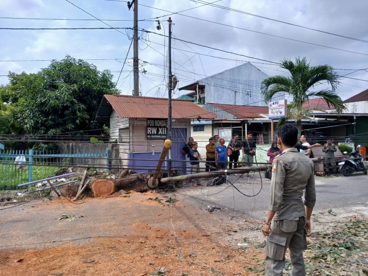 Pemko Pekanbaru Tegur Operator Telekomunikasi Usai Tiang Fiber Optik Tumbang di Jalan Rindang